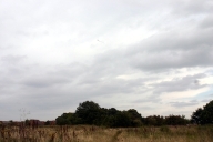 A wide angle shot of a sode kite flying