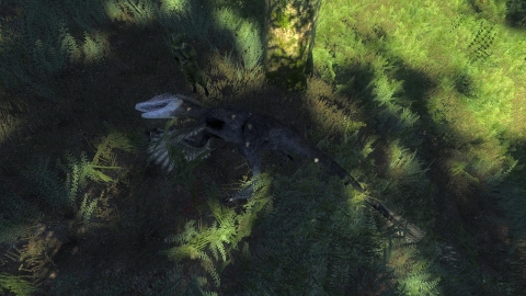 A dead Utahraptor