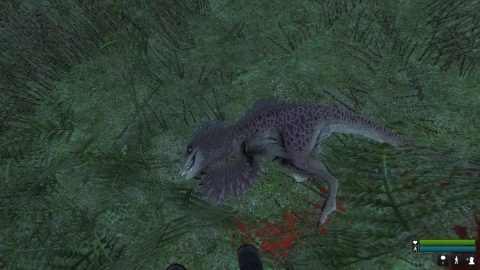 A dead Velociraptor